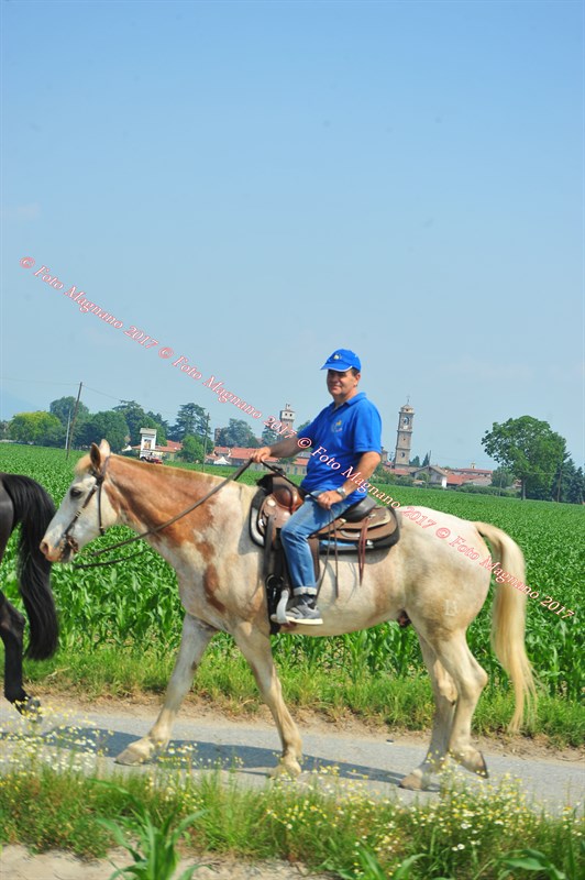 DSC_0858.JPG